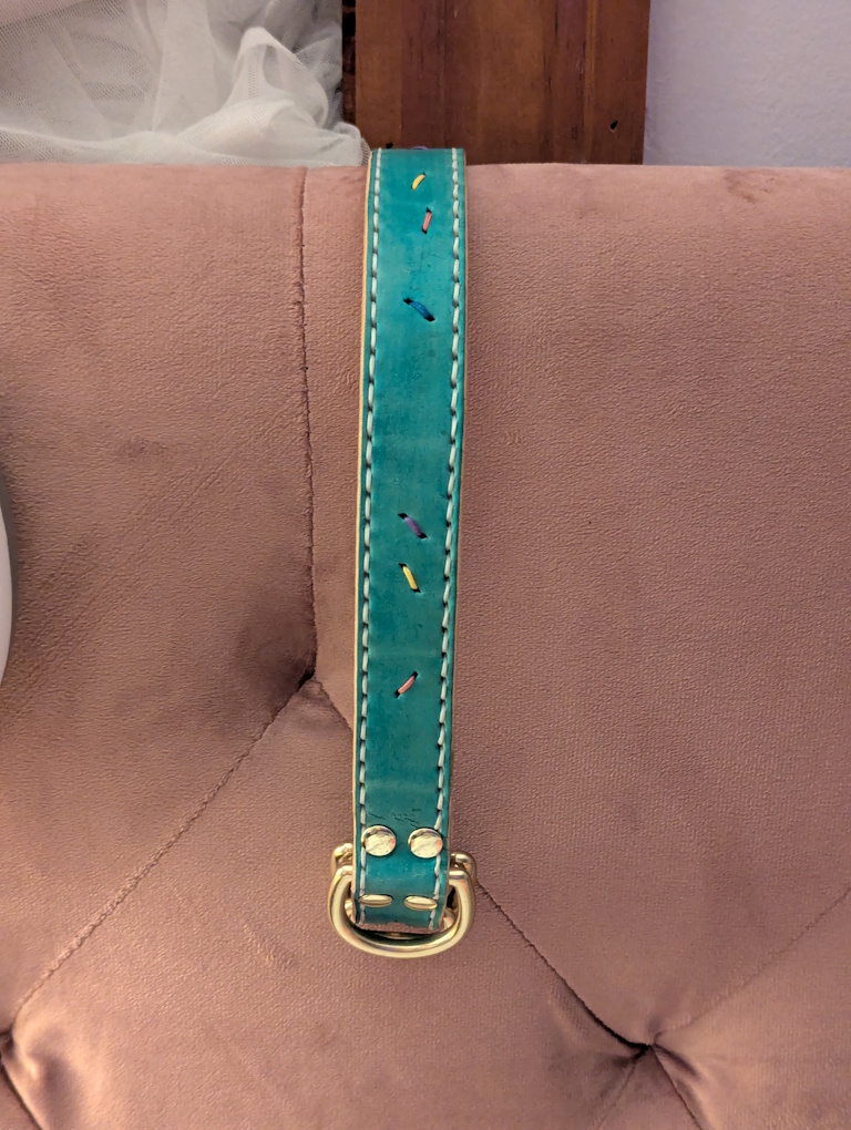 a mint green leather collar hanging on pink plush head board.  it has white stitching on the edges and occasional colorful stitching throughout that look like sprinkles