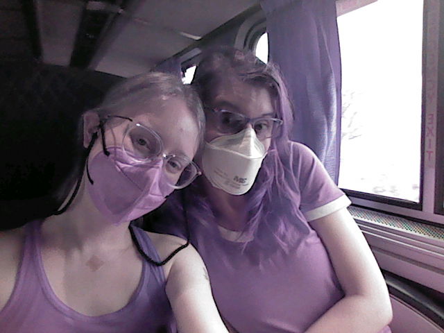 Low res photograph of me and my wife on an Amtrak train car. The photo is very pink and purple, showing off her purple top and hair, my pink mask, and it somehow turned my black tank top purple. She is wearing a white N95 mask that still looks white. Because the photo was taken on a Nintendo 3DS, the view through the window is just completely blown out with light.