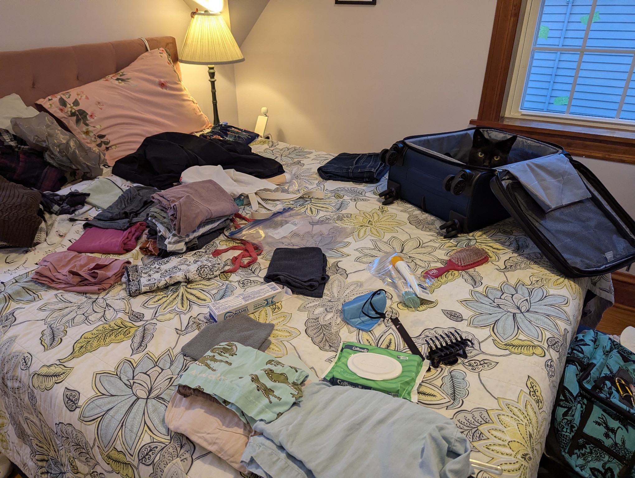 Photograph of a bunch of clothes, bathroom supplies, and personal effects scattered on a bed. At the back corner of the bed is a dark blue suitcase with a black cat's head poking out of it.